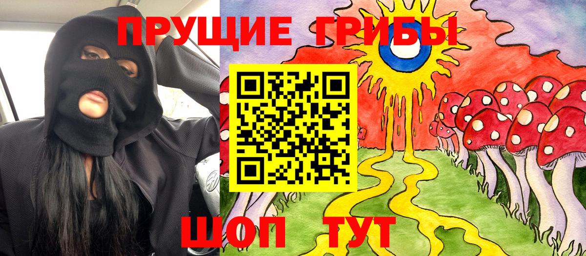 Псилоцибиновые грибы MAGIC MUSHROOMS  Псилоцибиновые грибы Psilocybe  Вход с VPN  Ессентуки 