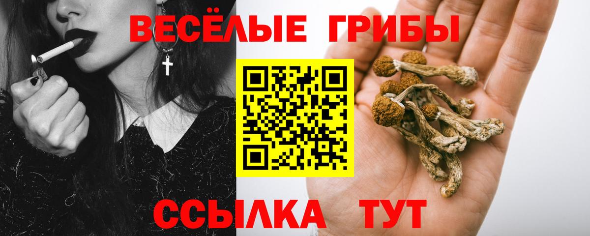Галлюциногенные грибы прущие грибы Ессентуки
